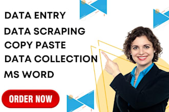 do data entry, data typing, jpg to document or excel, copy paste