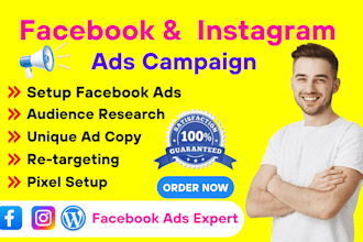 run facebook and instagram ads campaign, for leads and sales