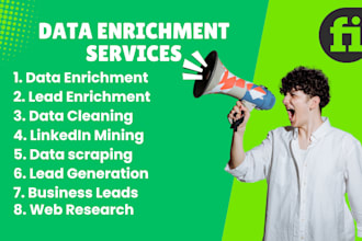 provide data enrichment, data cleaning, and lead enrichment services