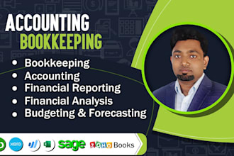 do accounting, bookkeeping, financial analysis, financial reporting