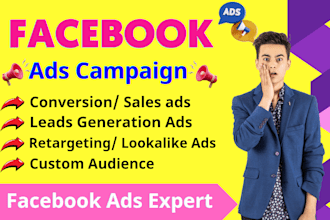 be your facebook ads expert and run fb ads campaigns