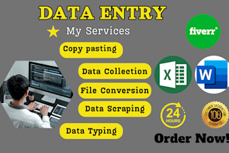 do data entry online offline, pdf to word, typing, excel