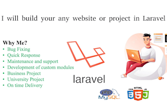create website using laravel, core php, js, html