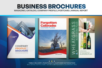 design business brochure, booklet, company profile, proposal