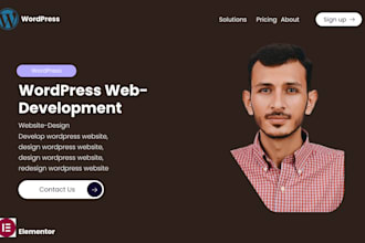 create wordpress design development and redesign services