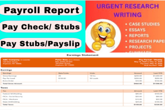 revamp and create paystubs, payroll, tax return and paycheck