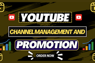 manage and promote your youtube channel organically