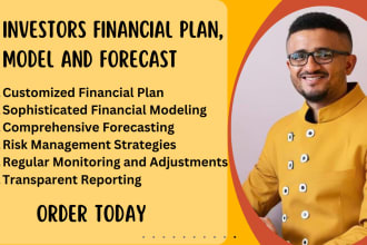 generate investors financial plan, model and forecast