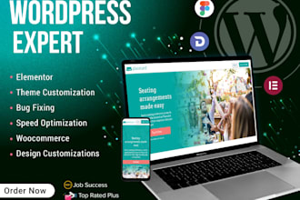 build a professional website with divi theme as a divi expert