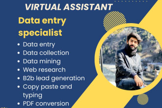 be your virtual assistant for data entry, typing, copy paste and web research
