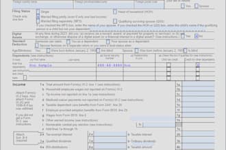 prepare and efile USA individual income tax return
