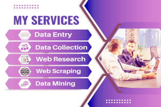do data entry, data collection, web research, web scraping, data mining