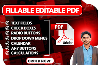 create fillable pdf, editable pdf, redesign form and ebook