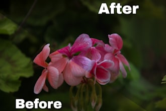 be your professional colorist for image color grading