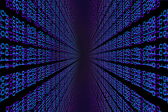 install, setup, build, administer, support software