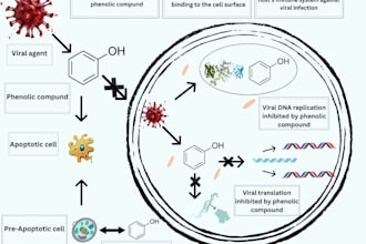 design scientific illustrations, diagrams and graphics