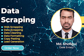 do data scraping, excel data entry, web research, lead generation
