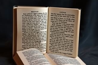 translate into english or italian your book, essay, article or blog post