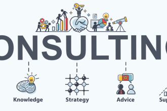provide IT consultancy for network and system administration