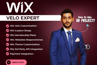 create a professional wix website with wix velo,wix code