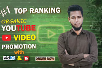 do your best youtube video SEO and organic video promotion specialist