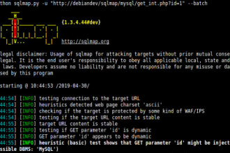 do penetration testing on your site, web application, API