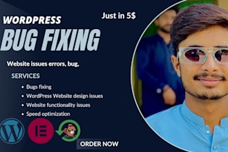 fix wordpress bug issues, fix wordpress plugin issues