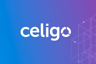 integrate netsuite with other application using celigo