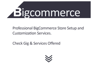 design professional bigcommerce website ecommerce store