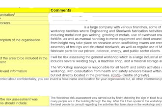 provide safe systems of work risk assessment consultation