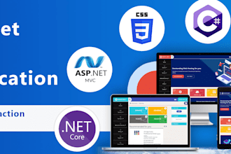 develop a professional asp dot net website