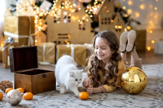 build a pet shopify store and website