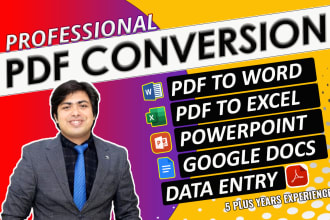 convert pdf to word, excel, powerpoint, google docs, data entry services