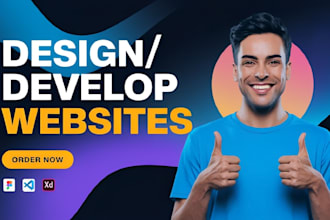 design and develop a professional wordpress website for your business