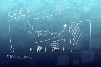 perform seo optimisation and drive traffic to a website