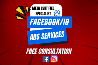 be your meta ads expert, facebook and ig ads setup, optimization