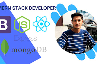 develop professional mern stack website