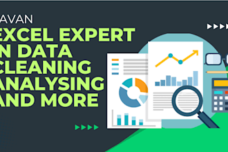 excel expert data cleaning analysis charts dashboard design