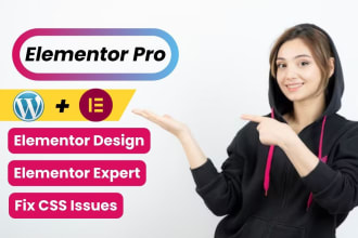 be your elementor expert and fix, build, rebuild, clone and edit your wordpress