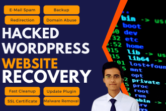 recover hacked wordpress website, malware removal