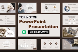 create powerpoint presentation pitch deck, branded powerpoint presentation