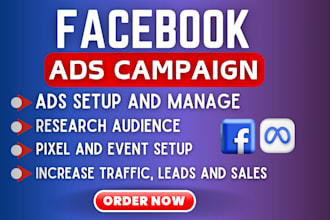 facebook and instagram create and manage ads campaign