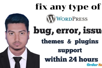 help fix bugs to any error  issues on the wordpress website elementior pro