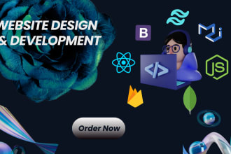 develop your react js web appliction as mern stack developer