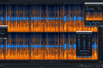 professionally clean and restore your noisy audio