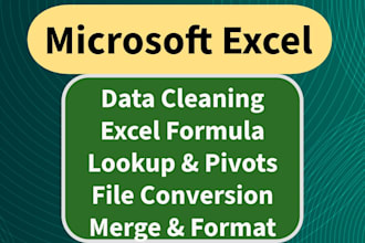 do excel data cleaning, and analysis