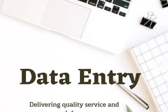 be your virtual assistant for data entry and admin support