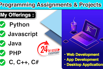 do any programming works, assignments and project