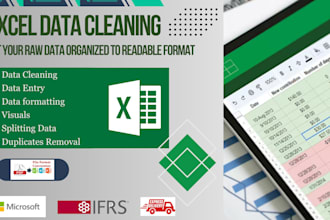 transform raw data into usable format, excel cleaning and organization