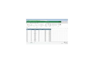 do excel data organizing